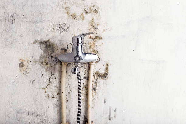 Best Mold Testing  in Myrtletown, CA
