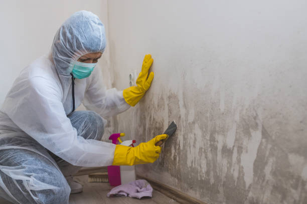 Best Mold Testing  in Myrtletown, CA
