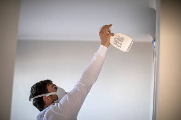 Best Commercial Mold Removal  in Myrtletown, CA