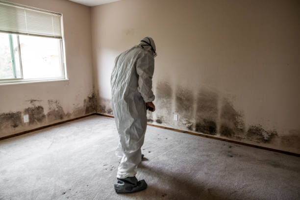 Best Office Mold Removal Services  in Myrtletown, CA