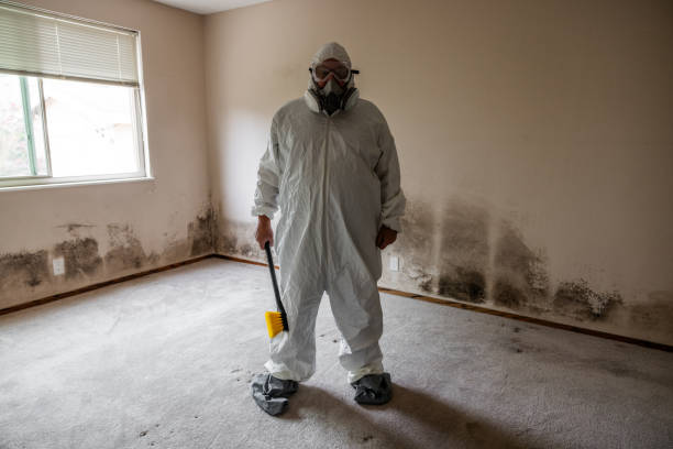 Home Mold Removal in Myrtletown, CA