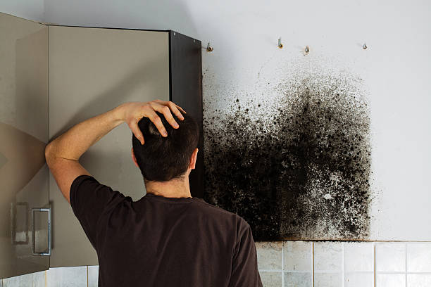Best Mold Removal Company Near Me  in Myrtletown, CA