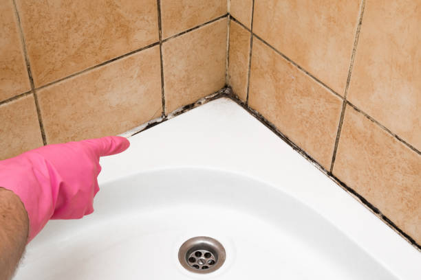 Best Water Damage Restoration  in Myrtletown, CA